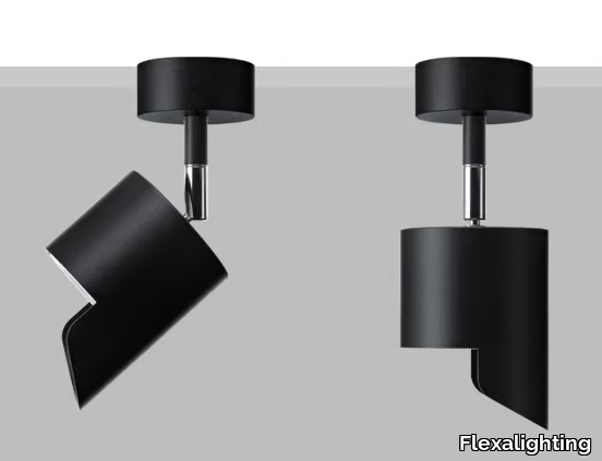 LAD S10 WW - Adjustable wall or ceiling projector _ Flexalighting