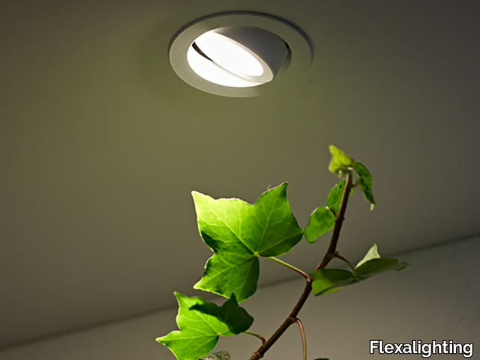 tyrone-6-flexalighting-557895-relfbacb639.jpg
