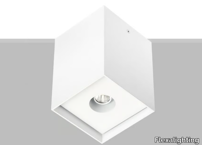 ARIK-10-Flexalighting-366214-relf5c1d9bb.jpg