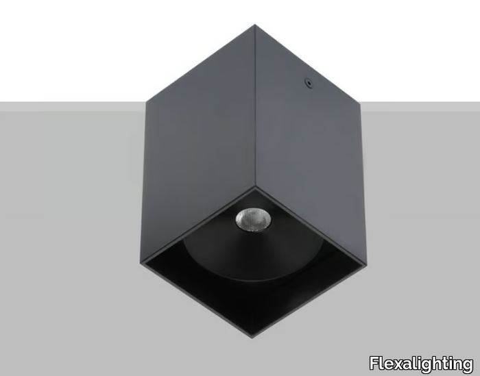 ARIK-2-Flexalighting-87231-relae3e053f.jpg