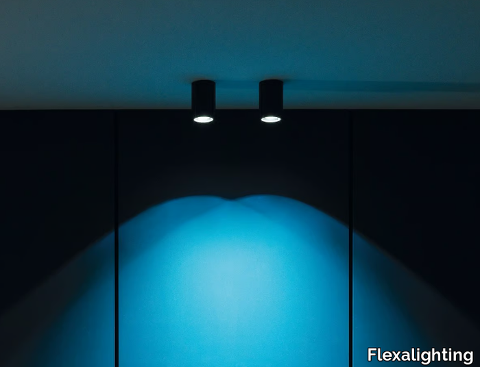 ART-Flexalighting-401681-relb081265e.jpg