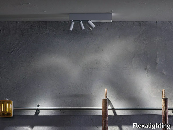 MINISASHA-130U-Flexalighting-366688-rel47ca8e0d.jpg