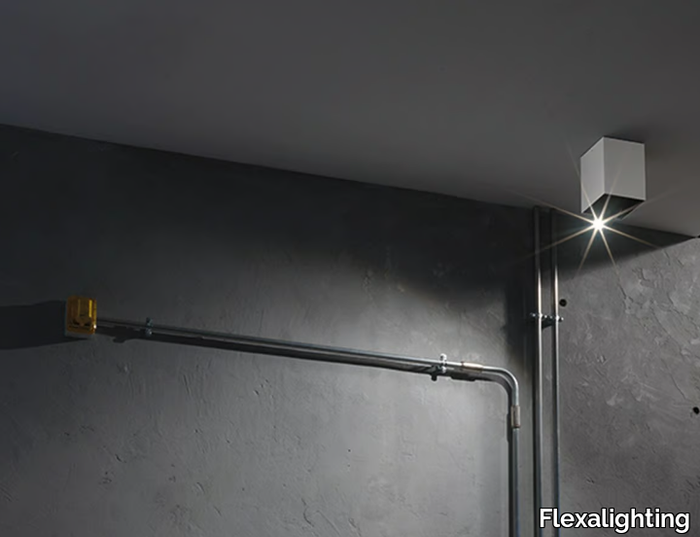 SWAN-10-Flexalighting-366754-rel95efe4ab.jpg