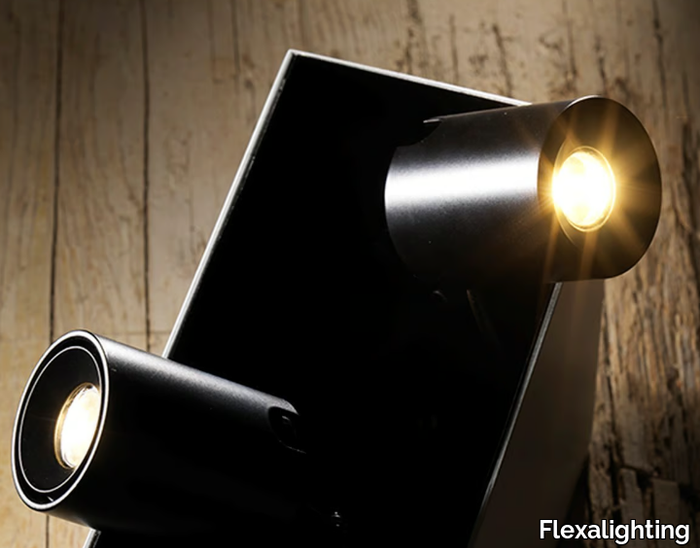 SWAN-X120-Flexalighting-366753-rel2146a068.jpg