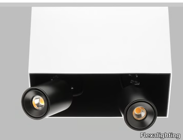 SWAN-X120-Flexalighting-366753-relb8dcc209.jpg
