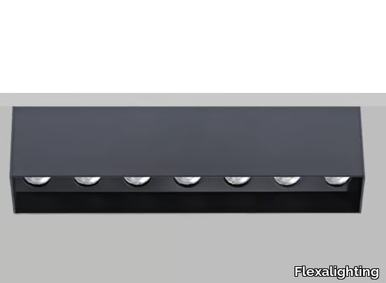 lev-s7-flexalighting-458178-rel72f5278f.jpg