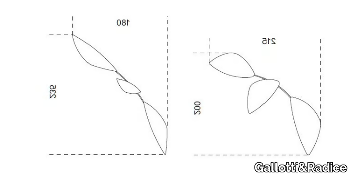 LEAF-Gallotti-Radice-63454-dim6ec006b2.png