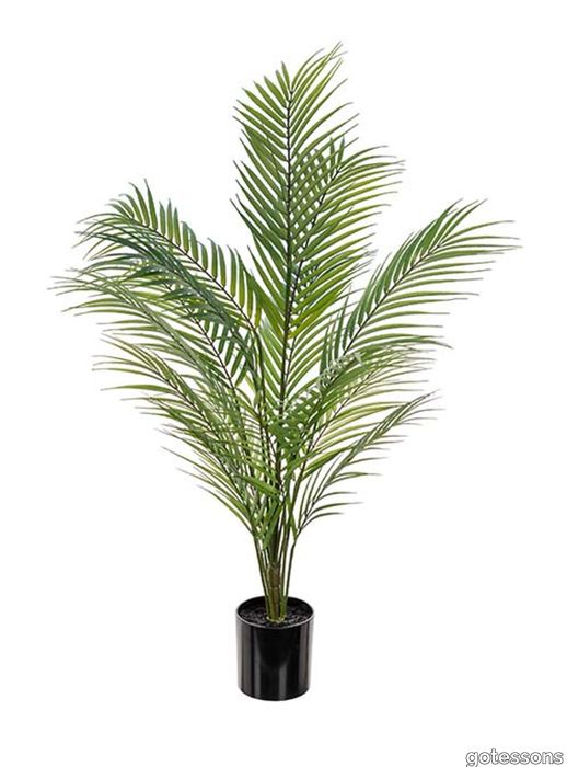 Neanthe Bella Palm 900