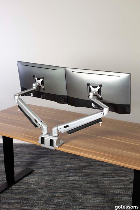 ZAP Monitor arm Twin