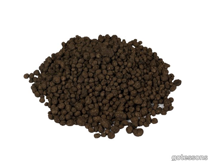 P_160095_Leca.jpg