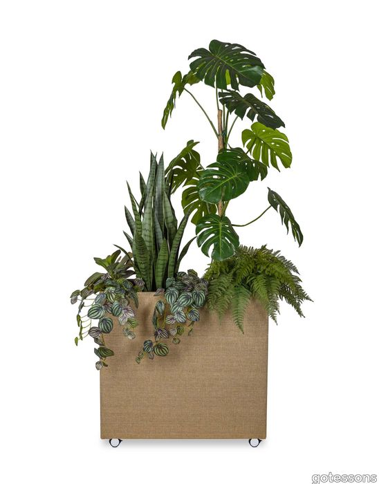 V_Plant_Divider_plants_img1.jpg