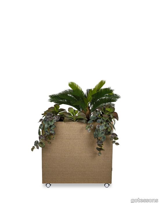 V_Plant_Divider_plants_img3.jpg