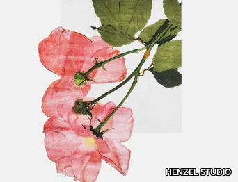 h_HENZEL-STUDIO_ENGLISH-ROSE_plReJFBF8d.jpeg