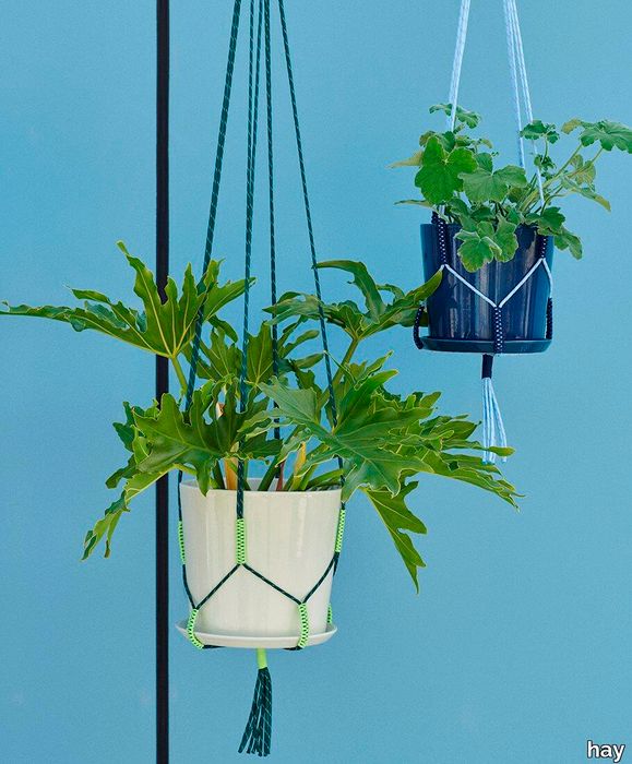 Phanta Plant Hanger