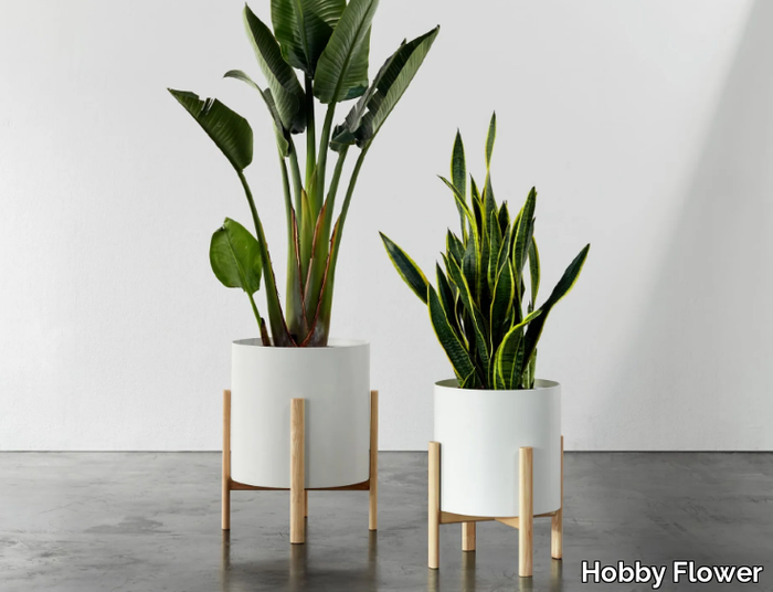 ASHI-Round-plant-pot-Hobby-Flower-358014-relbd3ef29f.jpg