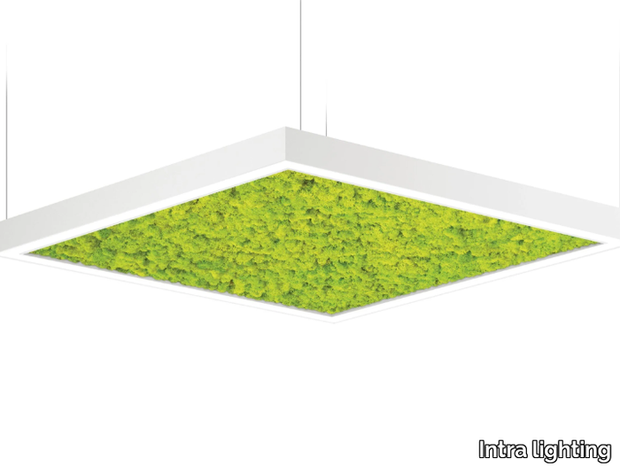 ACOUSTO SQUARE S-SDI - LED acoustic Moss pendant lamp _ Intra lighting