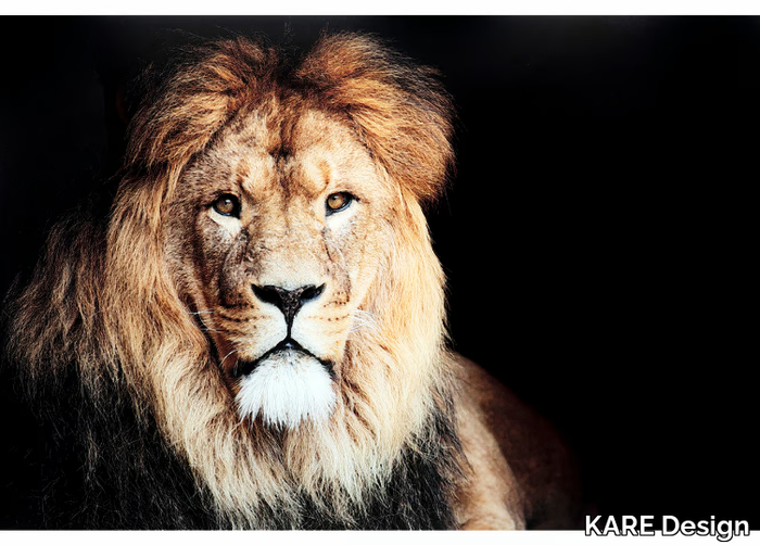 KING OF LION - Print on tempered glass _ KARE Design