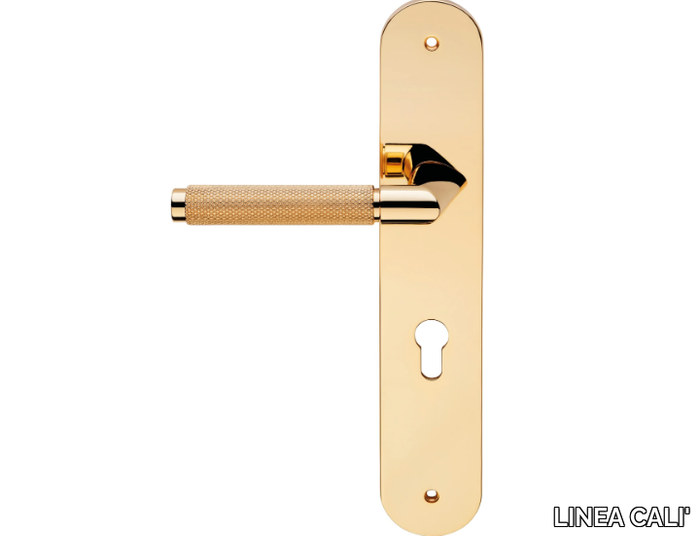 GRIP - Brass door handle on back plate _ LINEA CALI'