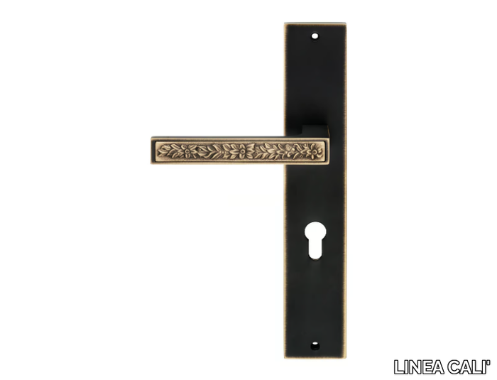 ZEN FUSION - Brass door handle on back plate _ LINEA CALI'