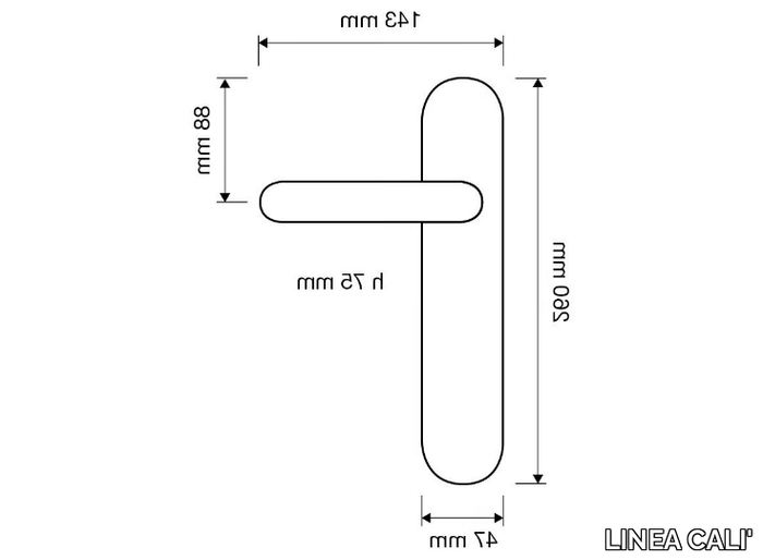 LINEA-CALI_CAVITY_Ibd9YJBFwL.jpeg