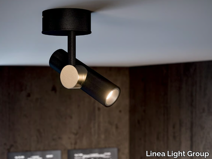 GOOSE - LED adjustable ceiling spotlight _ Linea Light Group