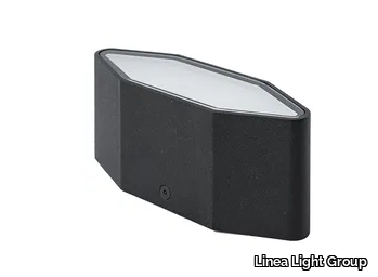 SKIN_ FL - LED metal Outdoor spotlight _ Linea Light Group