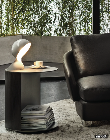 RICHER-Minotti-388813-rel9d571ec8.jpg