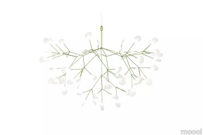 Heracleum III Suspended 