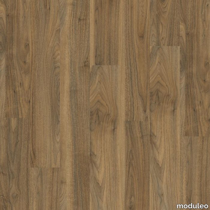 English Walnut 20565