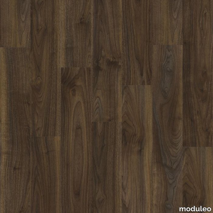 English Walnut 20896