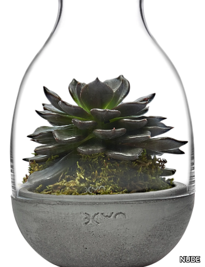 eden-mini-terrarium-nude-glass-358846-relf26fcbf6.jpg