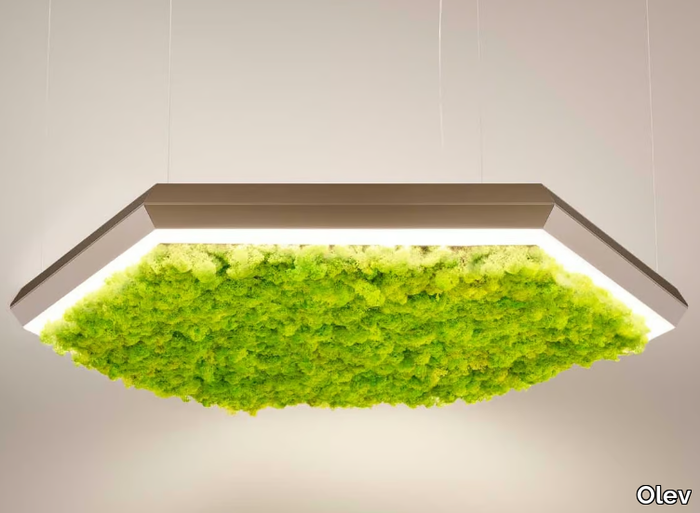 EXAGON SILENCE GREEN - LED Lichen pendant lamp _ Olev