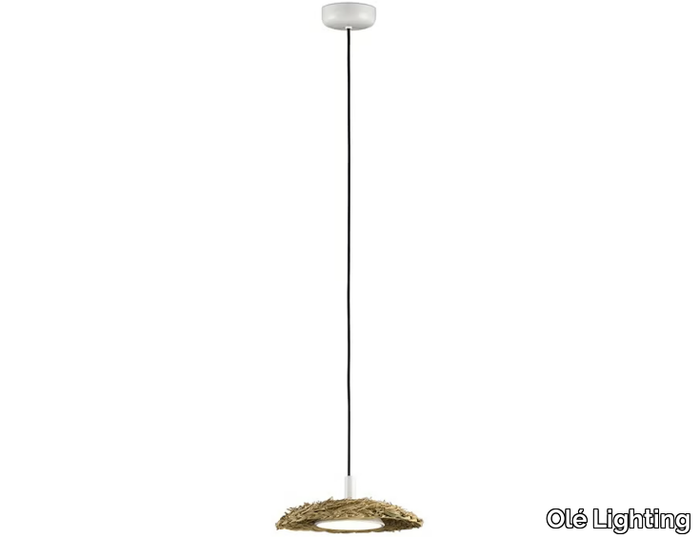 led-pendant-lamp-fm-iluminacion-592961-relfa988bf8.jpg