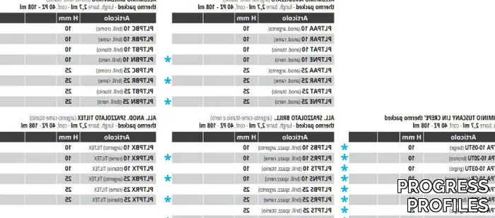 PROLISTEL-P-ALL-PROGRESS-PROFILES-248363-dim9f76a854.jpg