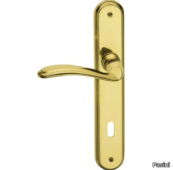 diandra-classique-door-handle-on-back-plate-pasini-metals-productions-327905-rele0a11768.jpg