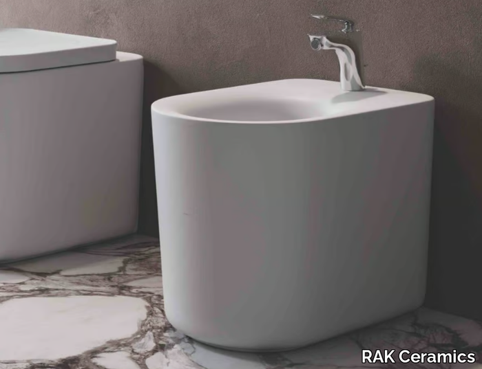 rak-valet-bidet-rak-ceramics-556952-reld51d4782.jpg