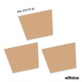 RAL070 70 30GoldbeigeGolden beige