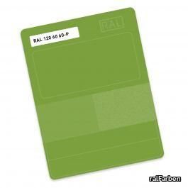 ral-p2-120-120-60-60.jpg