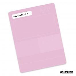 ral-p2-340-340-80-20.jpg