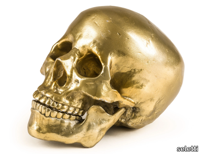 human-skull-seletti-402299-rel114bbb64.jpg