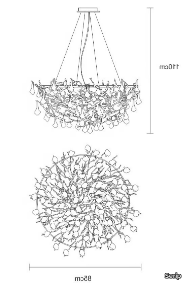 CORAL-ROYAL-EMPRESS-Serip-298876-dim4bb2e4df.jpg