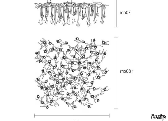 CORAL-REEF-Serip-451687-dim6fd65797.jpg