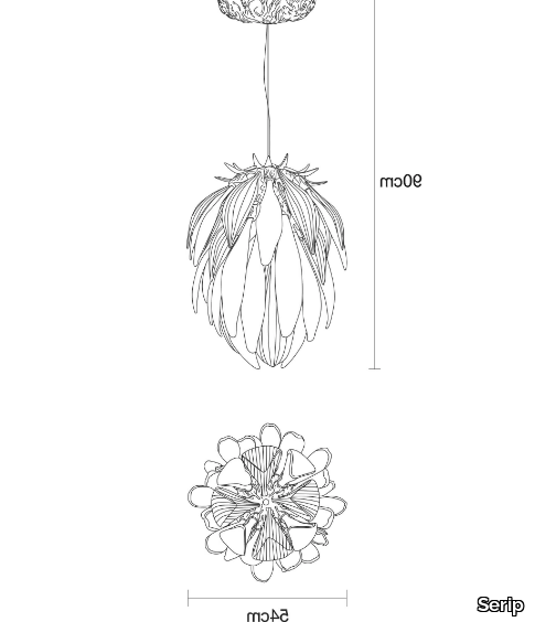 DANDELION-CYNARA-LARGE-Serip-636635-dim69c8667d.jpg