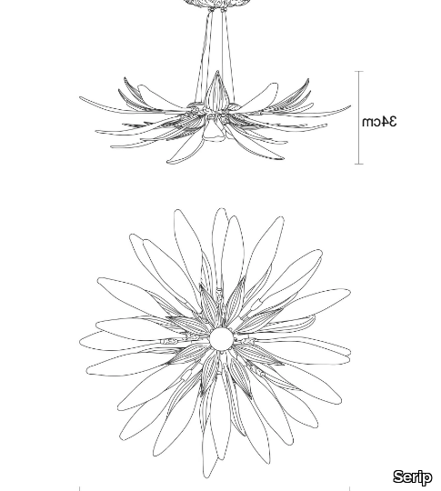 DANDELION-HOPE-MEDIUM-Serip-636632-dim45ccf37f.jpg