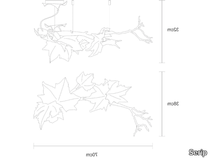 FOLIO-BRANCH-Serip-451643-dim874220b0.jpg