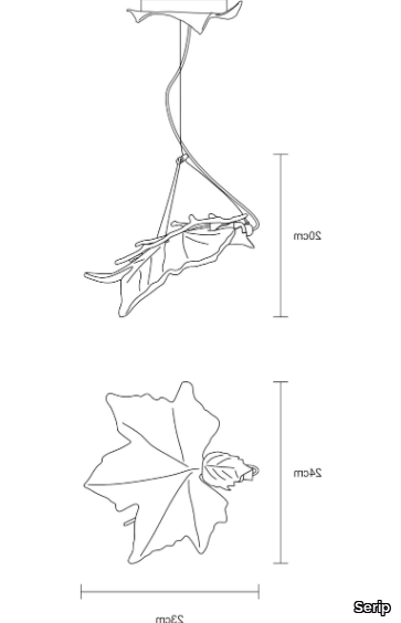 FOLIO-MAPLE-MALE-Serip-451645-dima028ec03.jpg