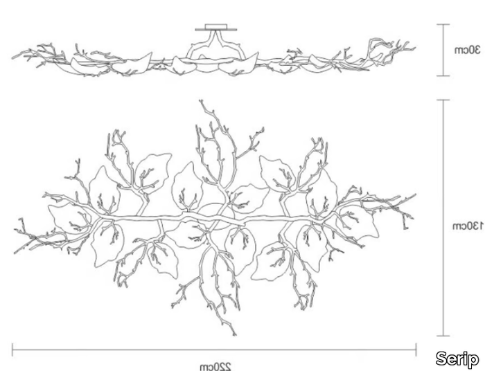 OUTONO-FAGUS-LARGE-Serip-459459-dim37ead4f3.jpg