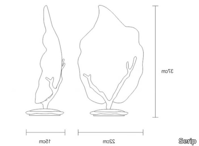 OUTONO-HAMAMELIS-Serip-459460-dim786f2f24.jpg