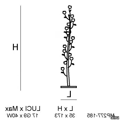 FLORA-MP-277-SIRU-292467-dim611530bf.jpg