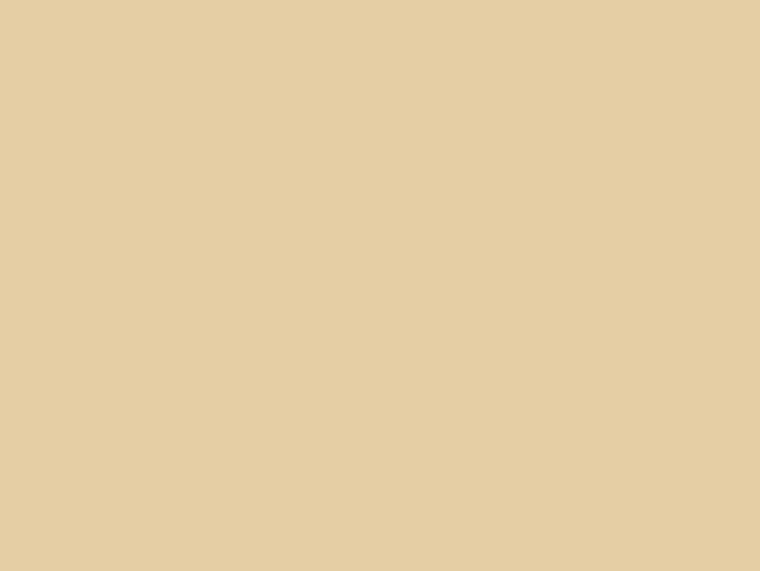 beige-medio-opaco-artesive-415419-rel2421fa74.jpg